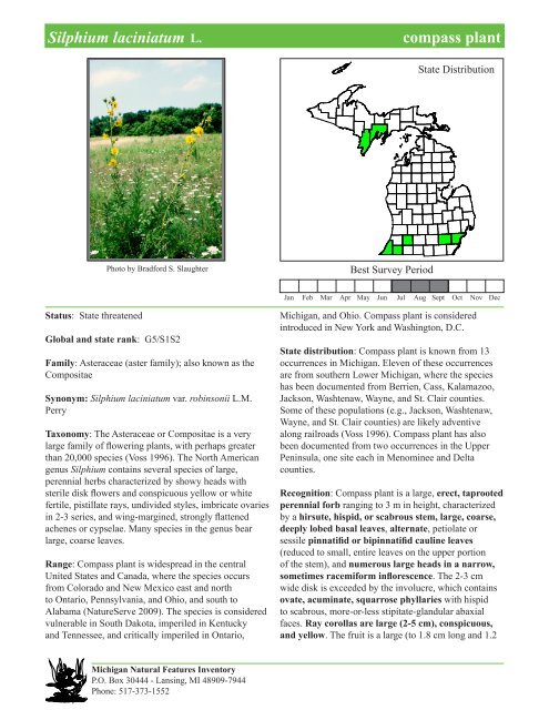 Silphium laciniatum - Michigan Natural Features Inventory ...