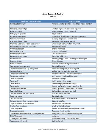 University of Minnesota Herbarium Plant List - Minnesota Seasons