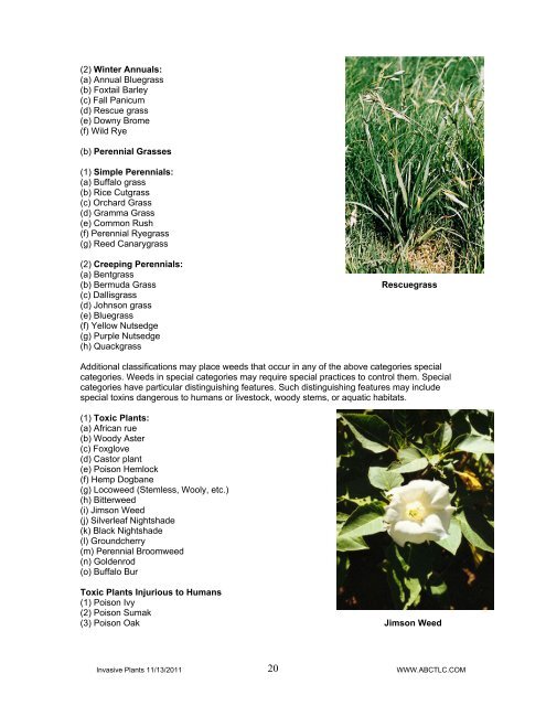 INVASIVE PLANTS - Technical Learning College