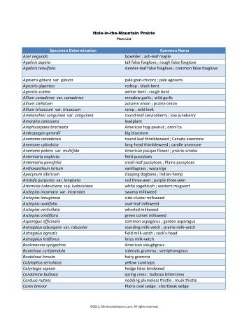 University of Minnesota Herbarium Plant List - Minnesota Seasons