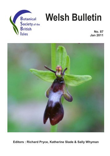 pdf 2.1 MB - BSBI Archive - Botanical Society of the British Isles