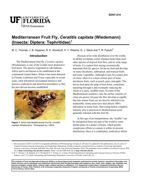Mediterranean Fruit Fly, Ceratitis capitata (Wiedemann) - EDIS ...