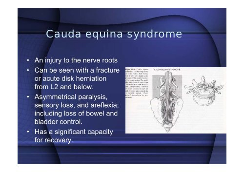 Spine and Spinal cord injury - Mahidol University