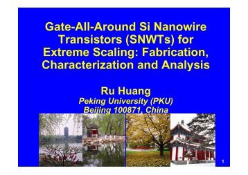 Gate-All-Around Si Nanowire Transistors (SNWTs) for Extreme ...