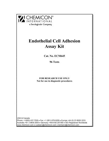 Endothelial Cell Adhesion Assay Kit - Millipore