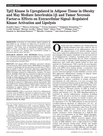 Tpl2 Kinase Is Upregulated in Adipose Tissue in Obesity ... - Diabetes