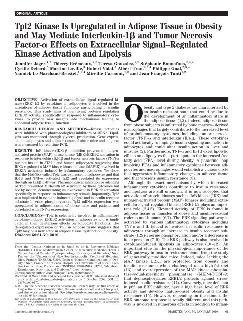 Tpl2 Kinase Is Upregulated in Adipose Tissue in Obesity ... - Diabetes