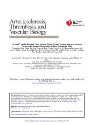 Stromal Vascular Fraction From Adipose Tissue Forms Profound ...