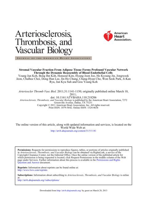 Stromal Vascular Fraction From Adipose Tissue Forms Profound ...