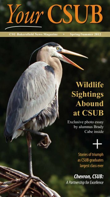Wildlife Sightings Abound at CSUB - California State University ...