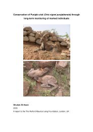 Conservation of Punjab urial (Ovis vignei punjabiensis) through long ...