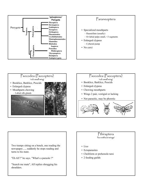 Lecture 7 Paraneoptera UNCA