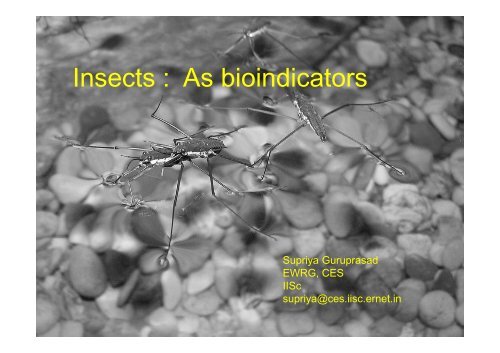 Insects : As bioindicators - CES (IISc)