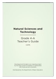 Natural Sciences and Technology Grade 4-A ... - Thunderbolt Kids