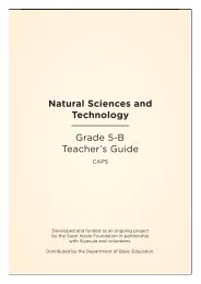 Natural Sciences and Technology Grade 5-B ... - Thunderbolt Kids