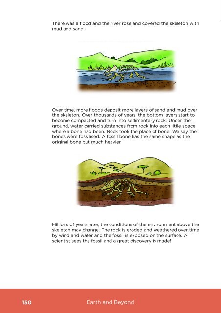 Natural Sciences and Technology Grade 5-B ... - Thunderbolt Kids