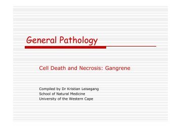 General Pathology - Free Courseware at UWC - University of the ...