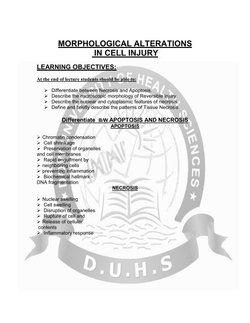 morphological changes of reversible injury