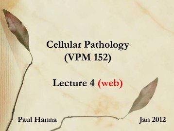 Cellular Pathology (VPM 152) Lecture 4 (web)