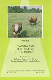 pastures for beef cattle in the piedmont - Auburn University Repository