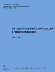 Historic Period Indian Archaeology of Northern Georgia. By