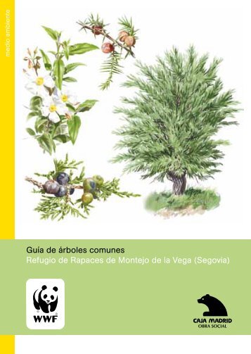 Guía de árboles comunes. Refugio de Rapaces de Montejo ... - WWF