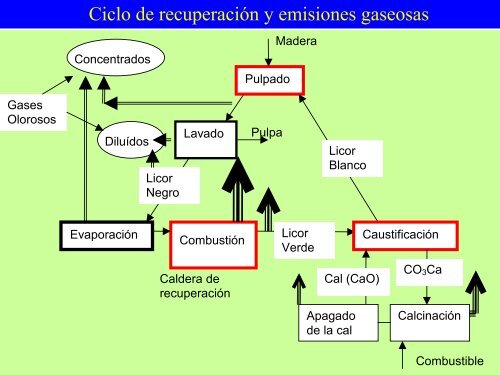 Las industrias pasteras y sus emisiones.