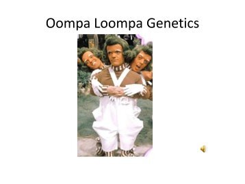 Oompah Loompa Genetics