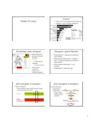 proto-oncogenes Oncogene = gain-of-function proto-oncogenes