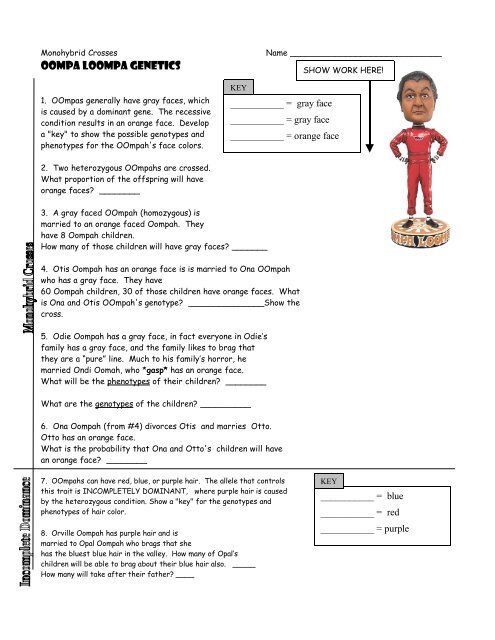 Oompa Loompa Genetics - The Biology Corner