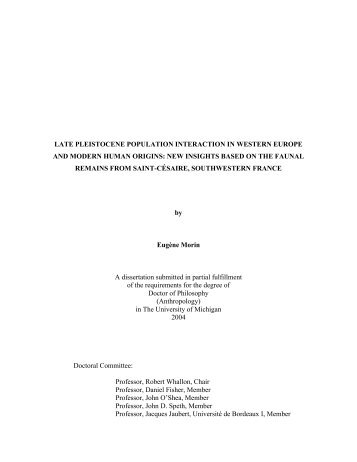 late pleistocene population interaction in western europe