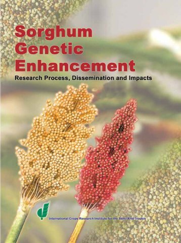 Global Sorghum Genetic Enhancement Processes at ICRISAT