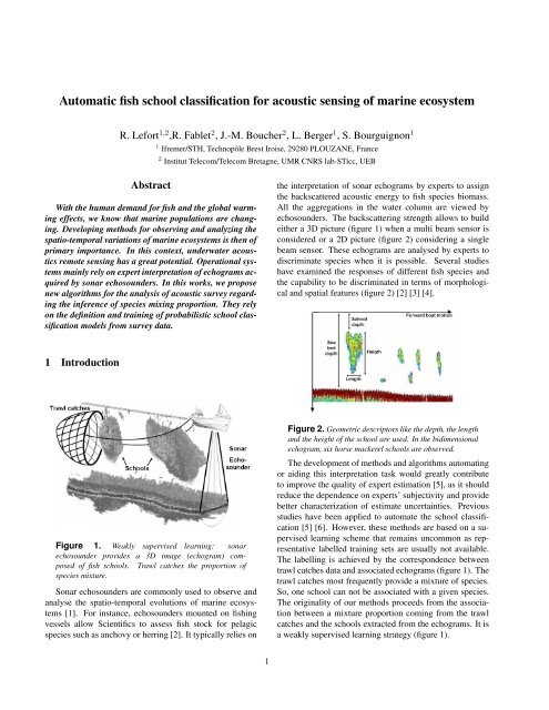 Automatic fish school classification for acoustic sensing of marine ...