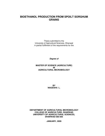 bioethanol production from spoilt sorghum grains - ETD | Electronic ...