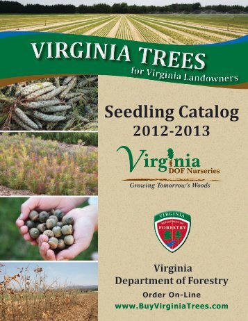 Seedling Catalog - Virginia Department Of Forestry