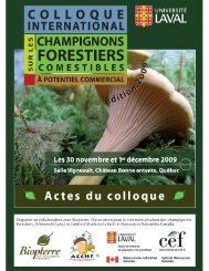 Colloque international sur les champignons forestiers comestibles