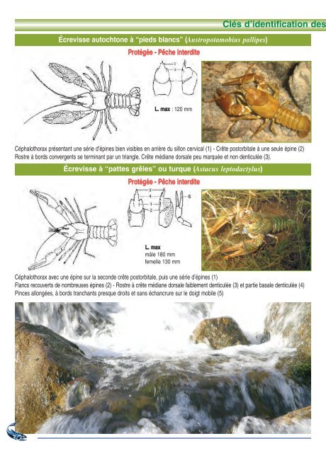 Règlementation Pêche dans le