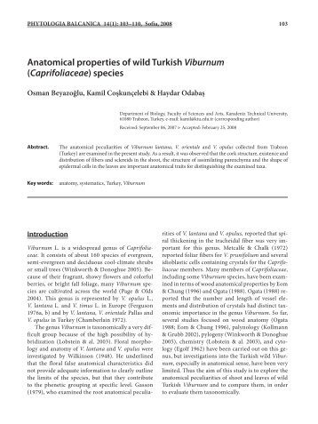 Anatomical properties of wild Turkish Viburnum ... - Bio.bas.bg