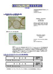 瀬田川プランクトン調査結果速報 滋賀県琵琶湖環境科学研究センター 瀬田川プランクトン調査結果速報 滋賀県琵琶湖環境科学研究センター