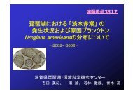 琵琶湖における「淡水赤潮」の発生状況および原因プランクトンUroglena ...