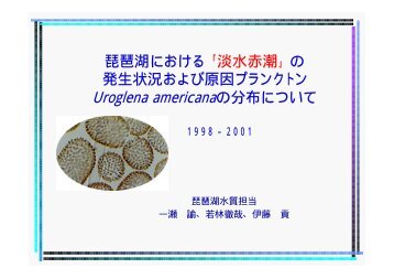 「淡水赤潮」の 発生状況および原因プランクトン Uroglena americanaの ...