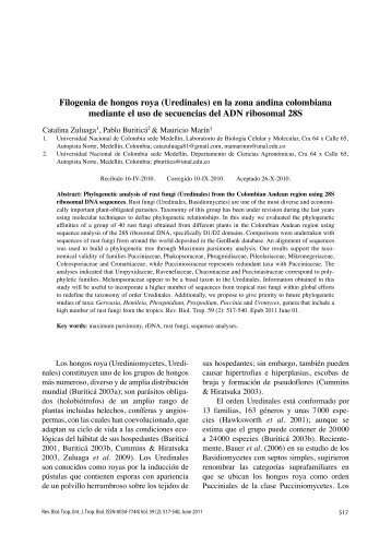Filogenia de hongos roya (Uredinales) en la zona andina ...