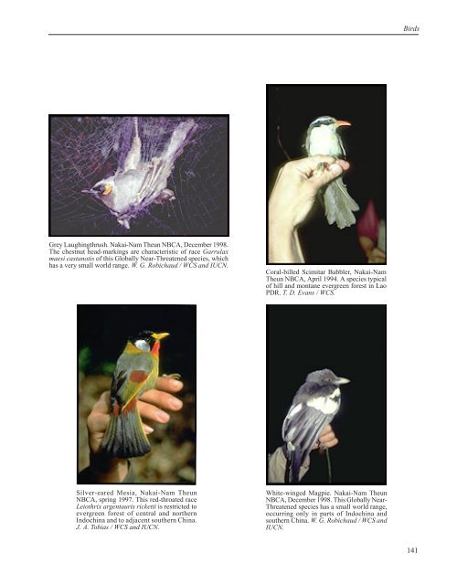Wildlife of Lao PDR: 1999 Status Report - IUCN