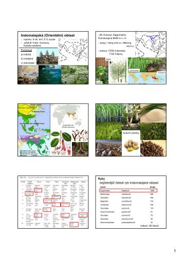 Paleartická zoogeografická oblast, Indomalajská ... - KZR