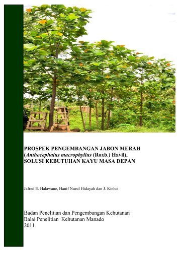 Prospek Pengembangan Jabon Merah.pdf - Badan Litbang ...