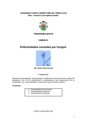 Enfermedades causadas por hongos. - Martín Urbina Chavarría