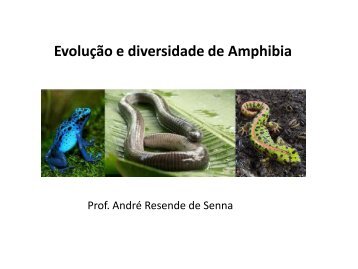 Evolução e diversidade de Amphibia - UniFOA