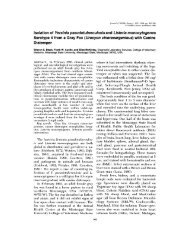 Isolation Serotype 4 from a Gray Fox (Urocyon with Canine Distemper