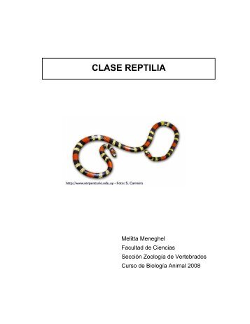 Reptiles: Repartido - Principal - Facultad de Ciencias