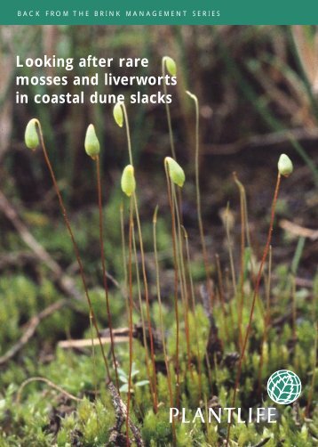 Looking after rare mosses and liverworts in coastal dune slacks